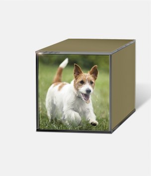 Cristaux De Mémoire Customisable